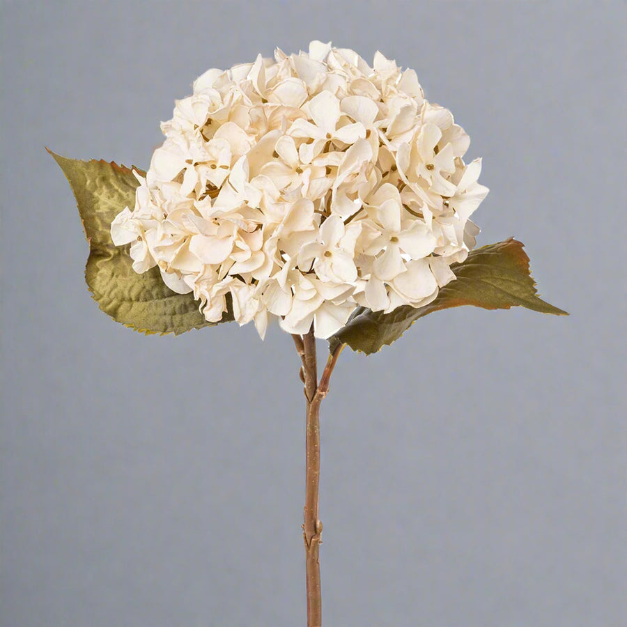 Fáradtbézs színű mű hortenzia ág.