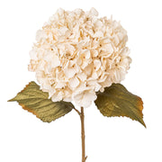 Fáradtbézs színű, élethű mű hortenzia ág zöld levelekkel, fehér háttér előtt – Hydrangea kollekció