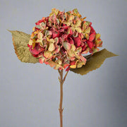 Fáradtkorall színű mű hortenzia ág.