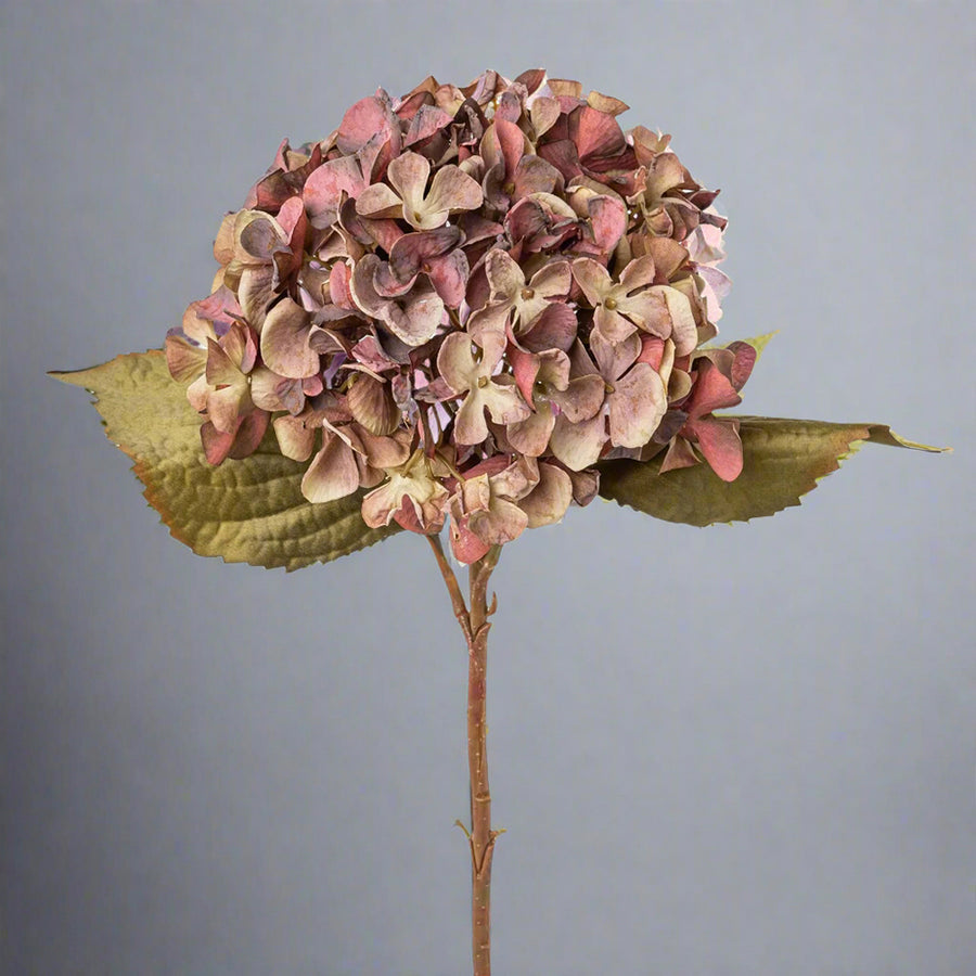 Fáradtmályva színű mű hortenzia ág.