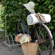 Fáradt púder és krémszínű hortenziák egy kerékpár kosarában