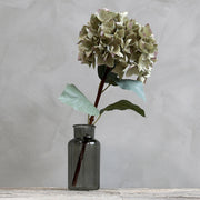 Mű hortenzia sötétszürke üveg vázában, letisztult, világos háttérrel.