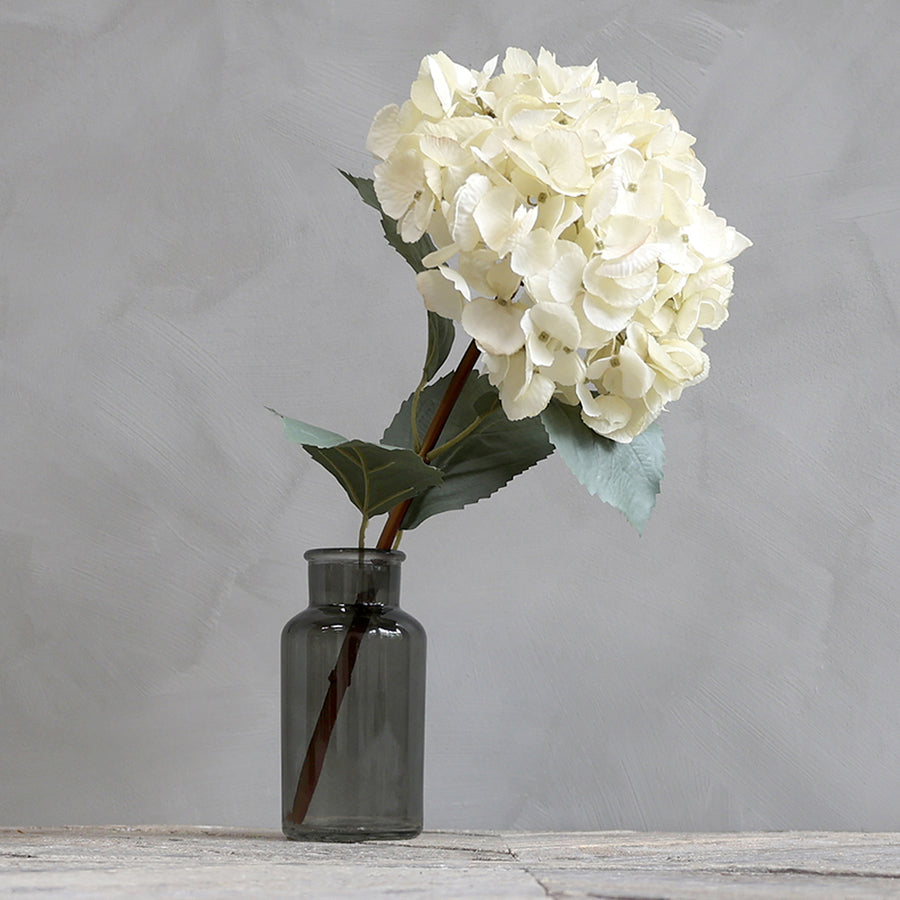 Krémszínű mű hortenzia sötétszürke üveg vázában, világos fal előtt.