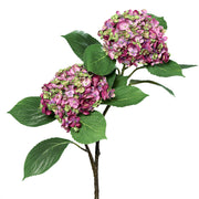 Lila és zöld árnyalatú mű hortenzia ág két gömb alakú virágfejjel, fehér háttér előtt