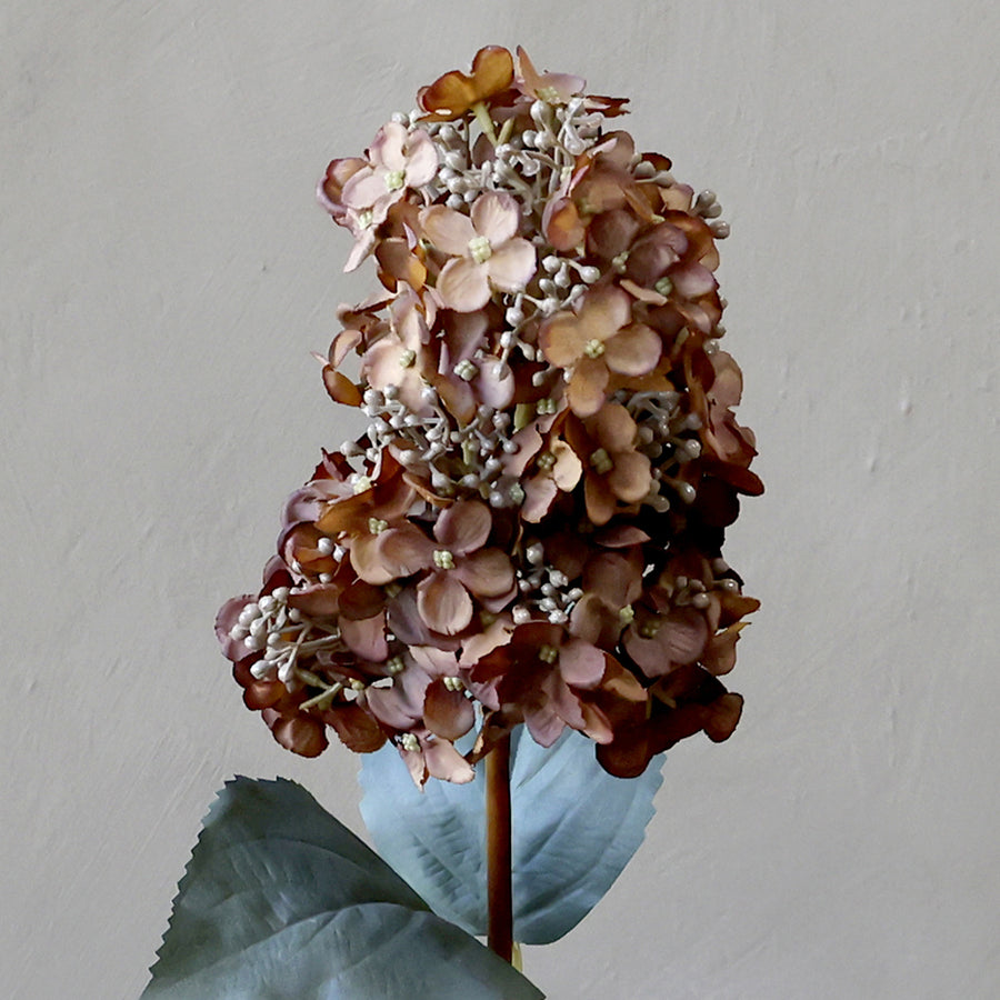 Közeli felvétel a mokkaszínű hortenzia virágfej részleteiről, élethű szirmokkal és bogyós középrésszel.