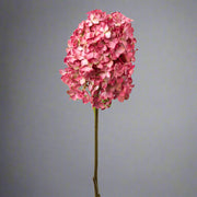 Teljes hosszában látható pink színű hortenzia művirág semleges szürke háttér előtt