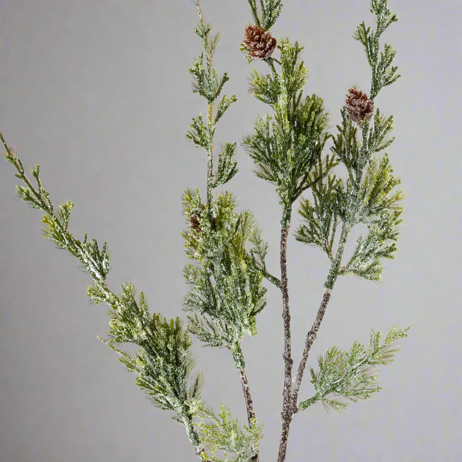 Zöld mű borókafenyő ág apró barna tobozokkal és jeges felülettel.