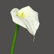 Kála művirág 68 cm fehér Real Touch "Calla"