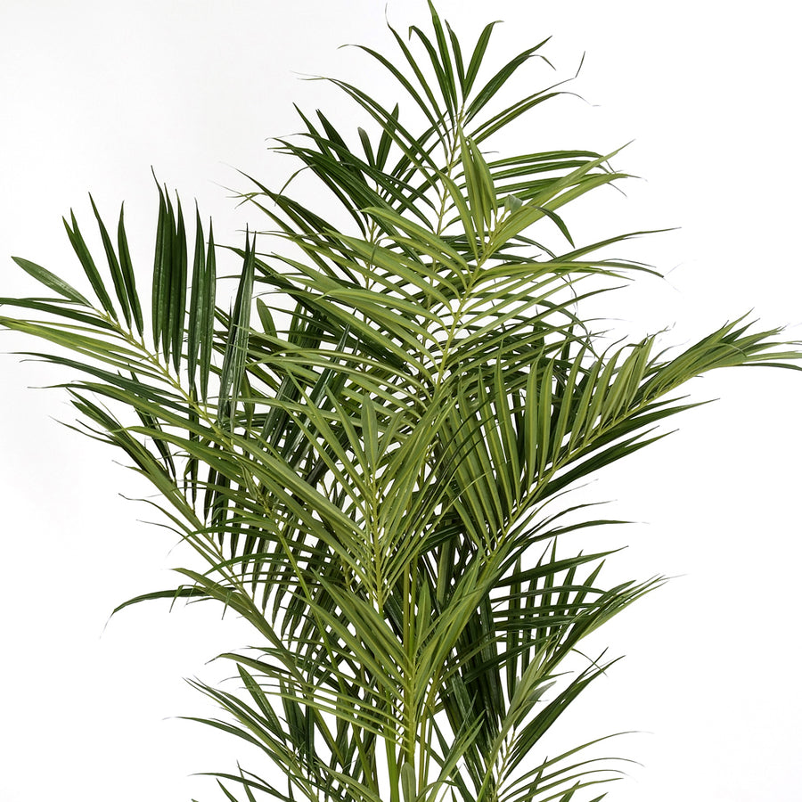 Realisztikus levelű KENTIA mű pálma közelről.