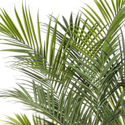 Realisztikus levelű KENTIA mű pálma közelről.