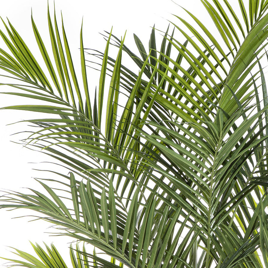 Realisztikus levelű KENTIA mű pálma közelről.