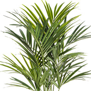 Realisztikus levelű KENTIA mű pálma közelről.