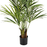 Fás törzsű KENTIA mű pálma fekete ültető kaspóban.