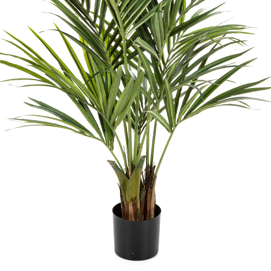 Fás törzsű KENTIA mű pálma fekete ültető kaspóban.