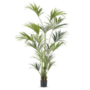 Kentia műpálma 240 cm magas fekete műanyag cserépben, elegáns és trópusi hatású műnövény