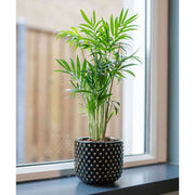 Fekete színű, mázas kerámiából készült kaspó.