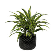 Fekete színű, mázas kerámiából készült kaspó.