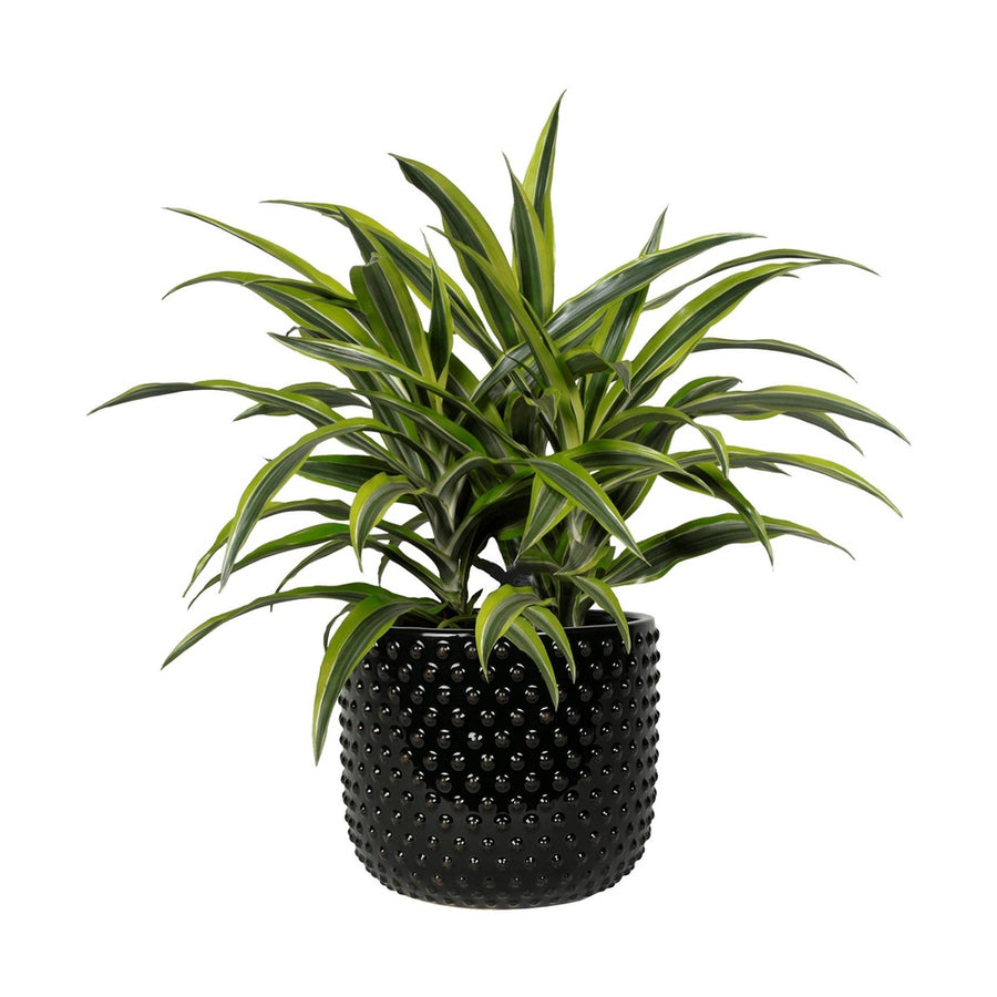 Fekete színű, mázas kerámiából készült kaspó.