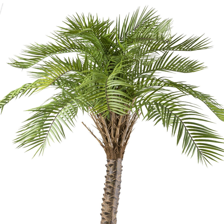 Élethű mű macaúba pálma dús, íves levelekkel 235 cm
