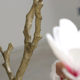 Natúr hatású mű magnóliafa törzs és ágak részlete