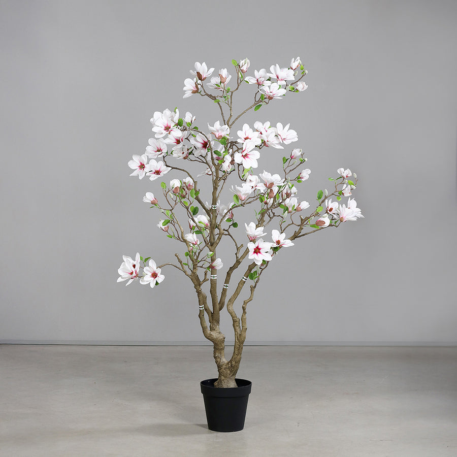 Nagyméretű fehér mű magnóliafa beltéri környezetben