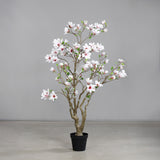 Nagyméretű fehér mű magnóliafa beltéri környezetben