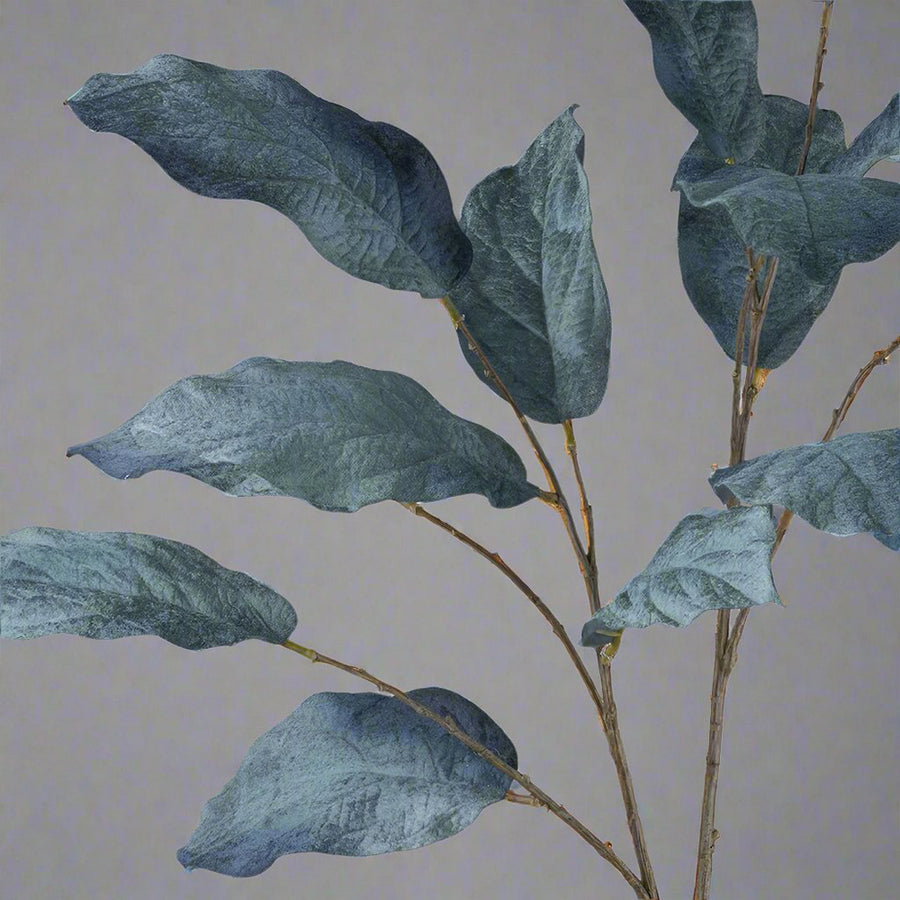 Royal kék színű, mű magnólia ág.