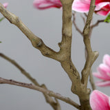 Natúr hatású mű magnóliafa törzs és ágak részlete