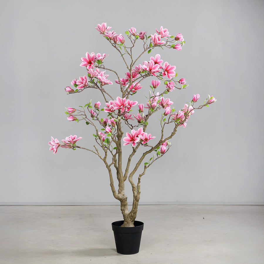 Nagyméretű rózsaszín mű magnóliafa beltéri környezetben