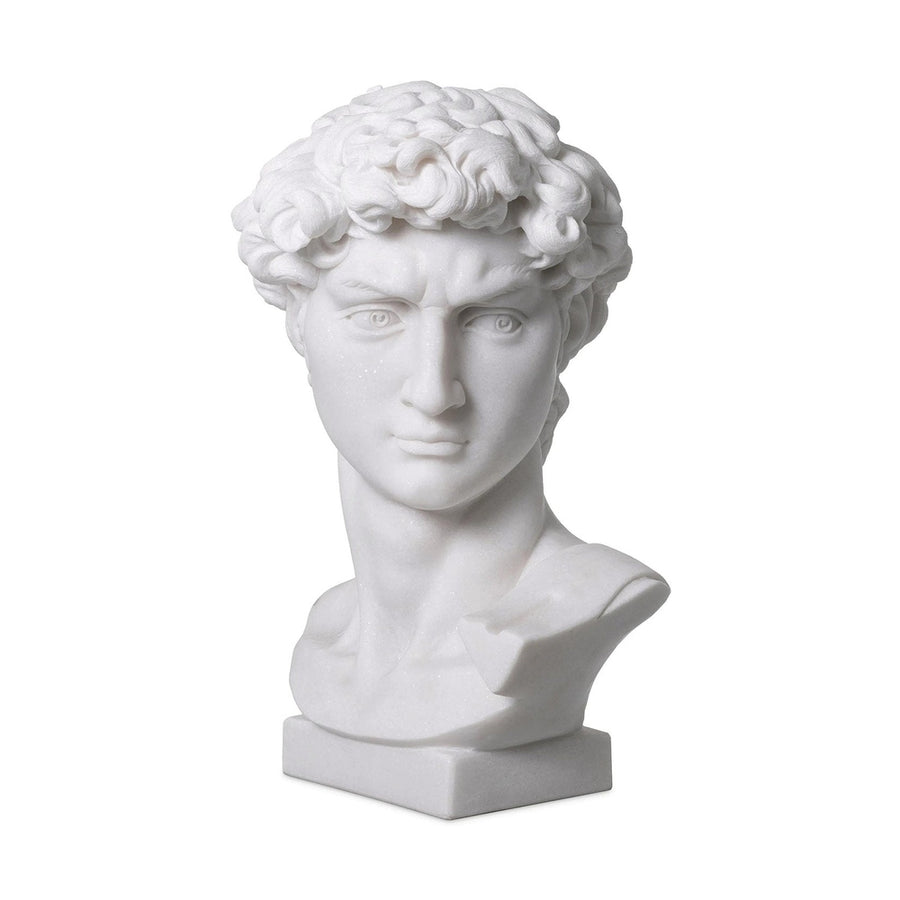 Fehér márványból faragott Dávid fej mellszobor