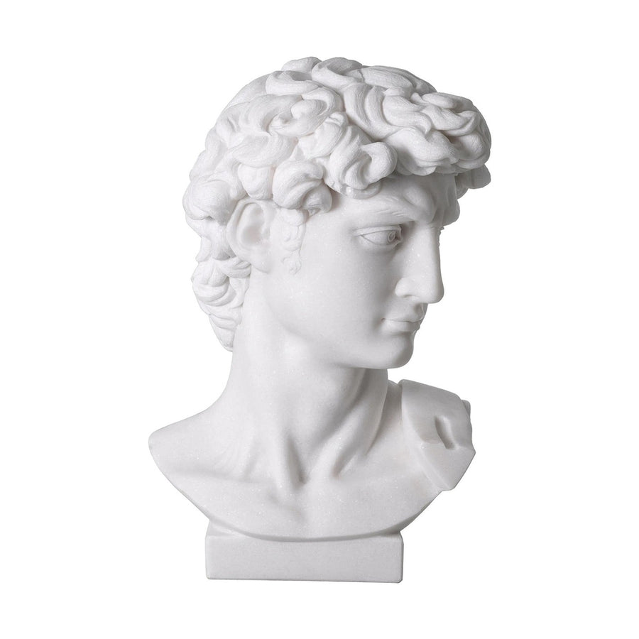 Fehér márványból faragott Dávid fej mellszobor