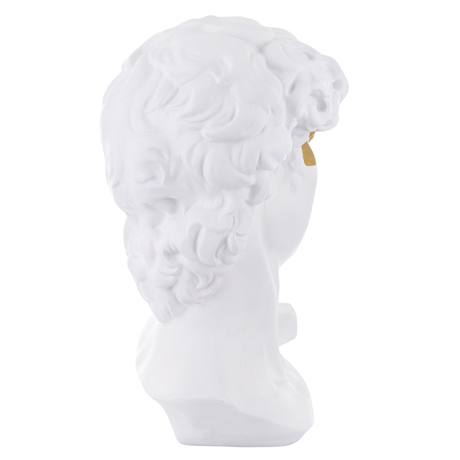 Aranyszínű maszkkal kontrasztozott, nagy méretű, fehér színű Dávid fej mellszobor.