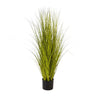 MISCANTHUS GOLD mű japánfű bokor 105 cm fekete kaspóban