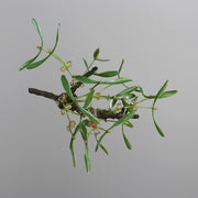 Prémium minőségű, élethű mű fagyöngy ág, 25 cm-es méretben, ünnepi dekorációhoz.