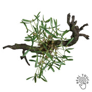 Zöld mű fagyöngy bokor Real Touch hatással, 40 cm hosszú és 35 cm átmérőjű karácsonyi dekoráció.
