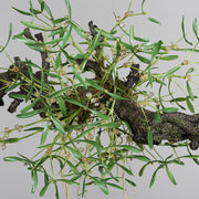 Részletfotó Real Touch mű fagyöngy bokorról, zöld levelekkel és élethű bogyókkal.