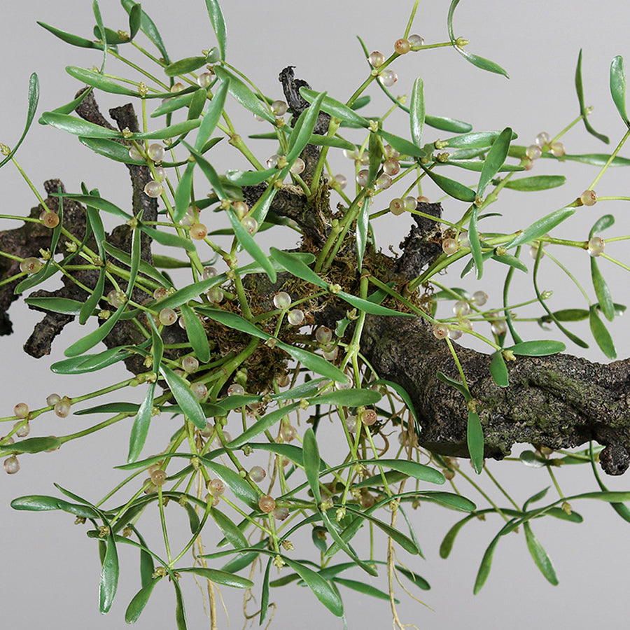 Részletfotó Real Touch mű fagyöngy bokorról, zöld levelekkel és élethű bogyókkal.