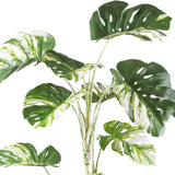 MONSTERA VARIEGATA zöld fehér foltos mű könnyezőpálma 160 cm