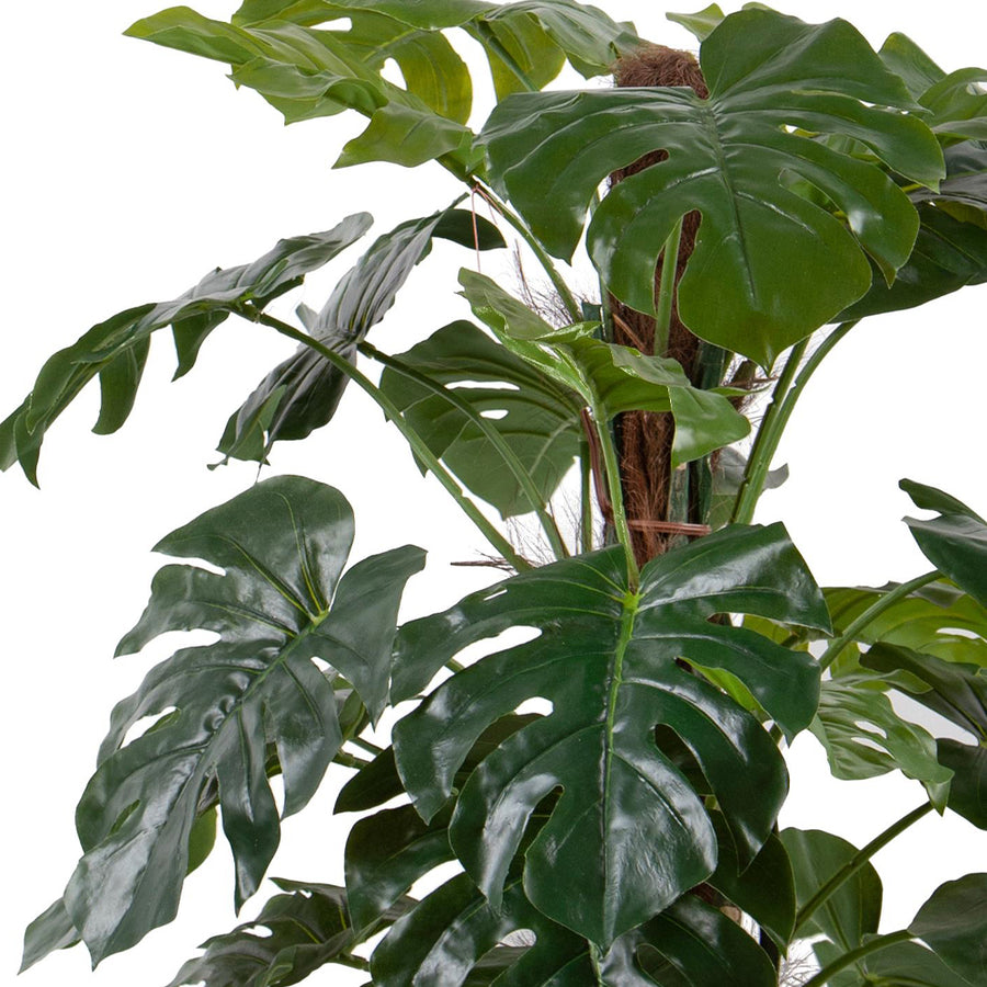 Mű Monstera levelek közelről, fényes felülettel és realista kidolgozással.