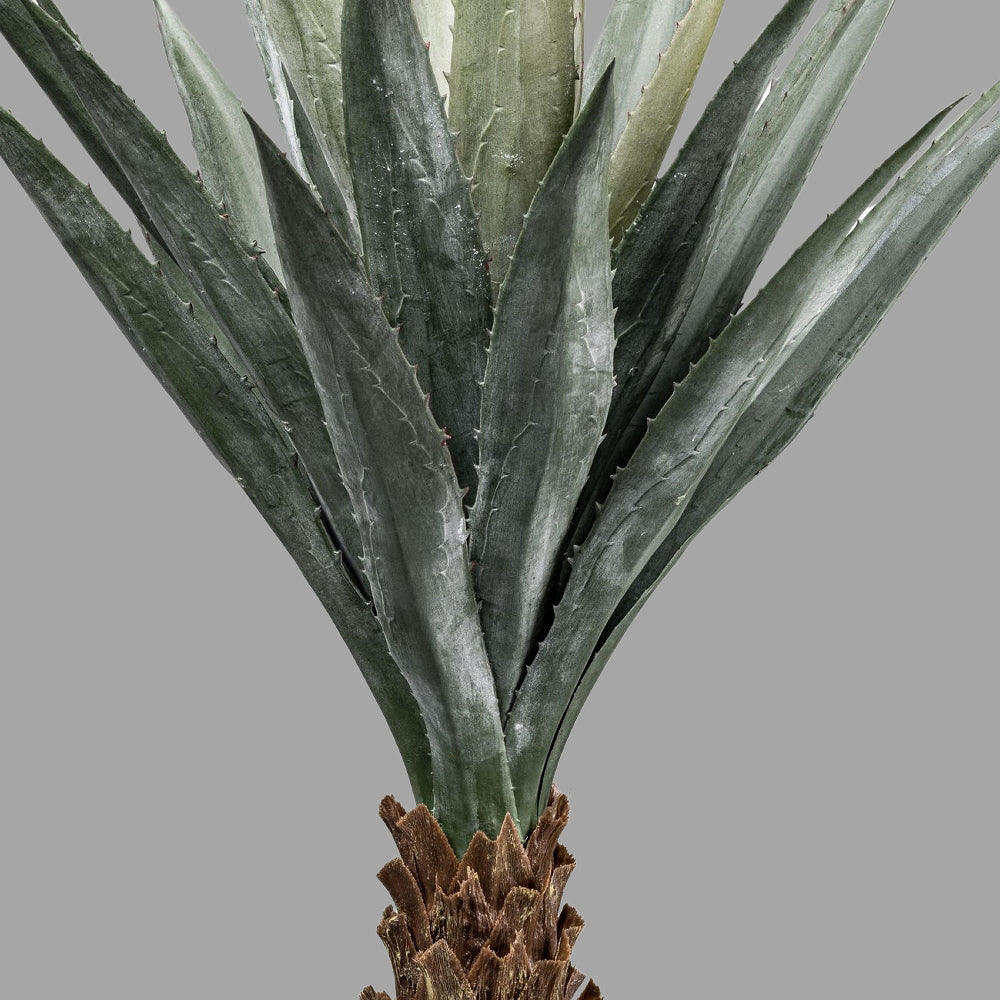 Zöld színű levelű, agave műnövény, fekete műanyagkaspóban.