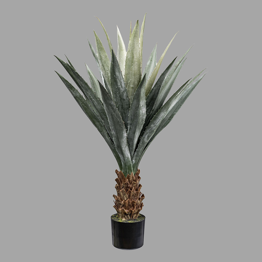 Zöld színű levelű, agave műnövény, fekete műanyagkaspóban.