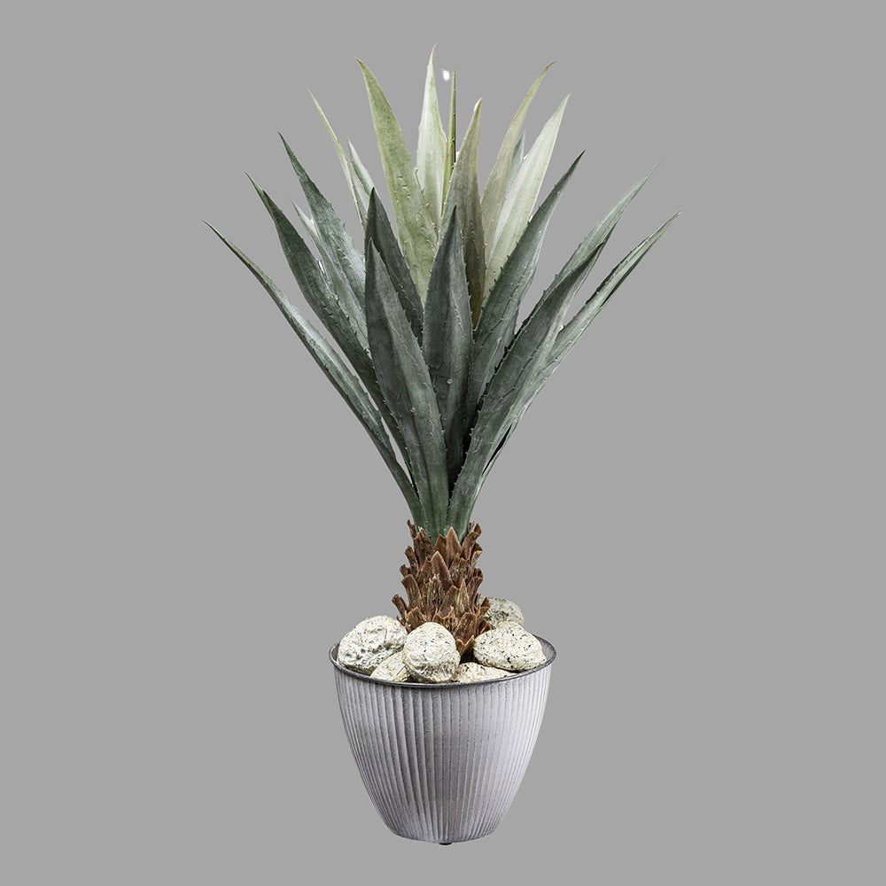 Zöld színű levelű, agave műnövény, fekete műanyagkaspóban.
