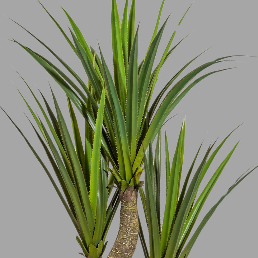 Zöld színű levelű, agave műnövény, fekete műanyagkaspóban.