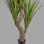 Zöld színű levelű, agave műnövény, fekete műanyagkaspóban.