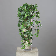 Zöld színű borostyán csüngő műnövény.