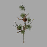 Zuzmóval borított, mű cédrusfenyőág.