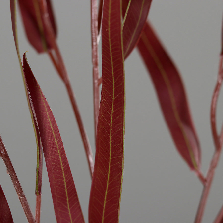 Bordó színű eukaliptusz ág műnövény.