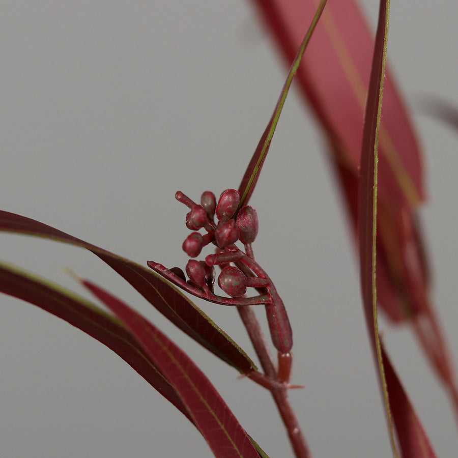 Bordó színű eukaliptusz ág műnövény.