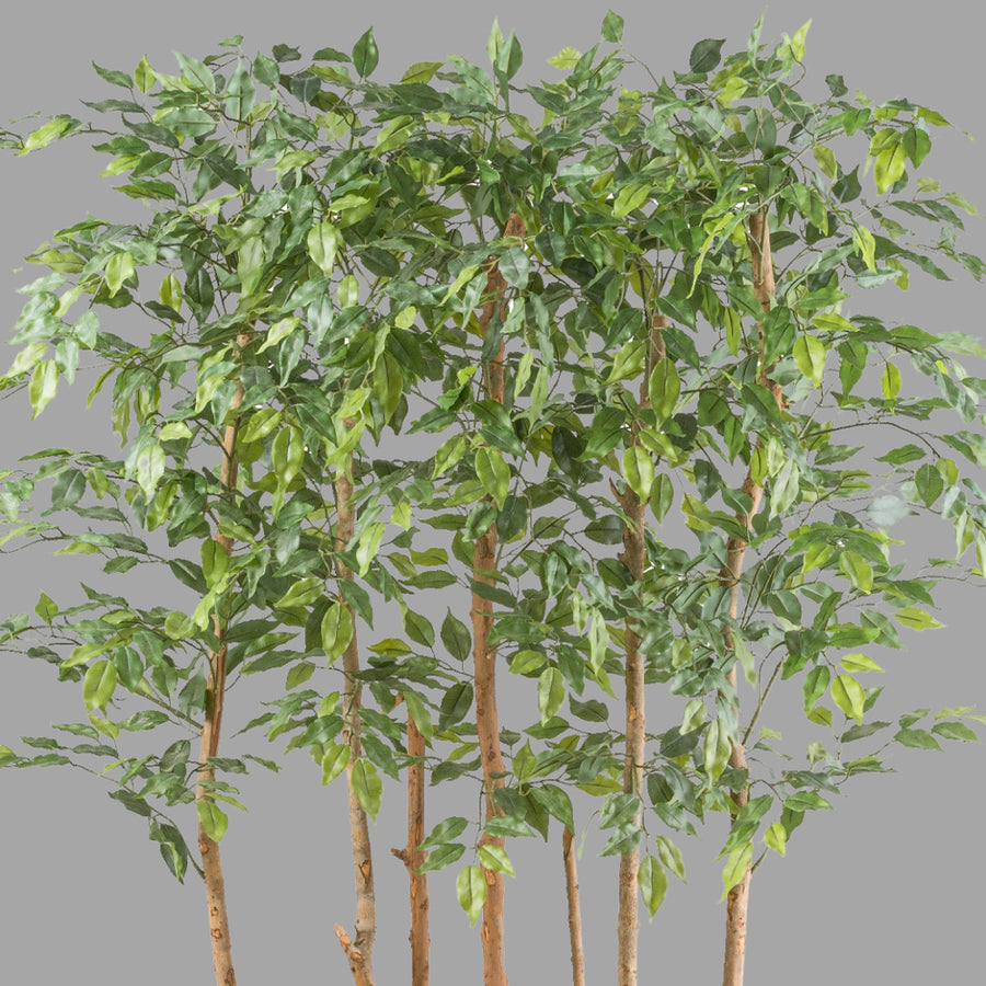 Mű fikusz térelválasztó 160 cm zöld "Ficus"