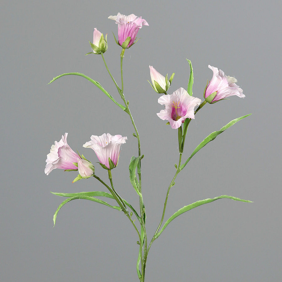 Halvány rózsaszín színű mű harangvirág.